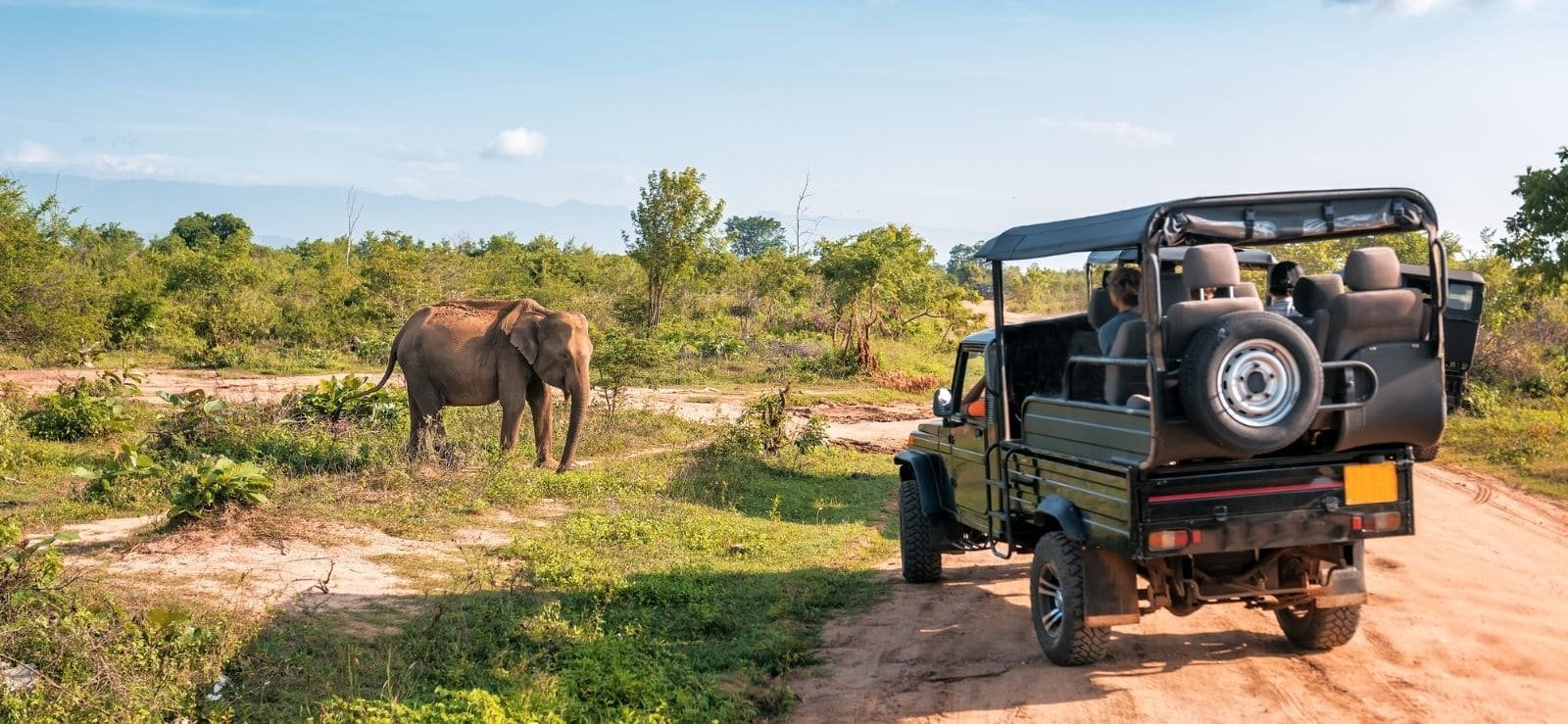 Sri Lanka Tea Country Landscape