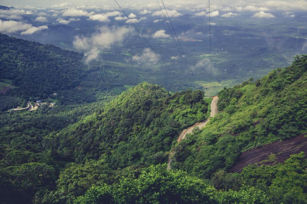 Ella Horton Plains