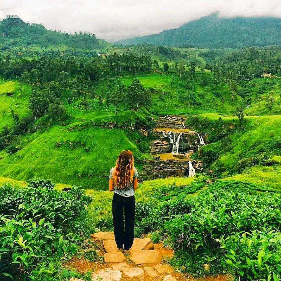 Nuwara Eliya Tea Plantations