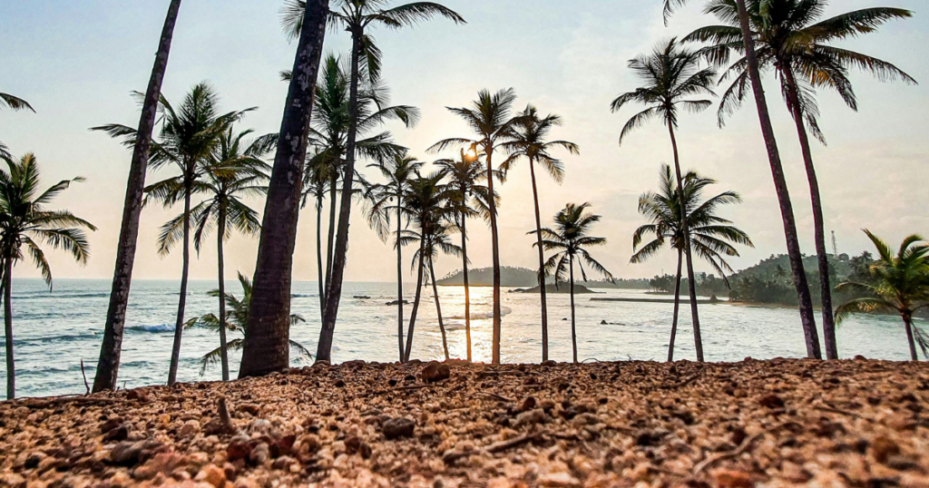 mirissa luxury coastal itineraries in sri lanka