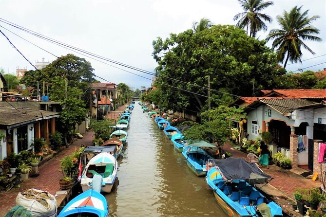 Arrival Negombo