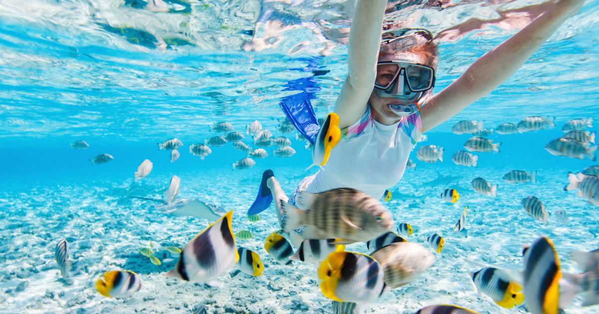 snorkeling is one of the most unique things to do in sri lanka