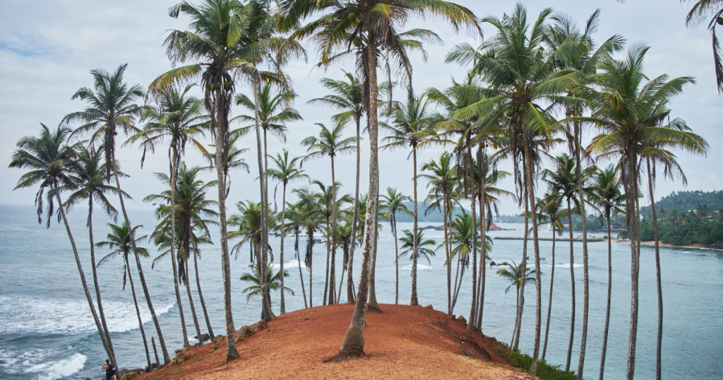 Mirissa surf beach Sri Lanka