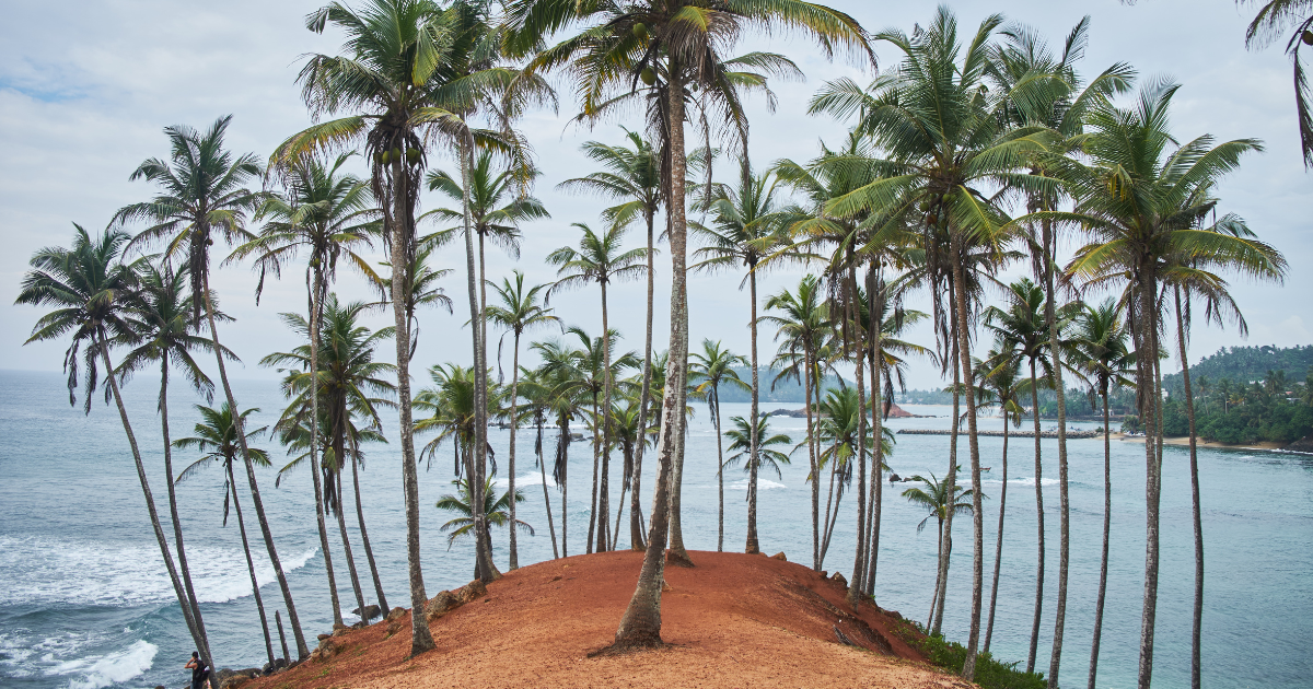 Mirissa surf beach Sri Lanka