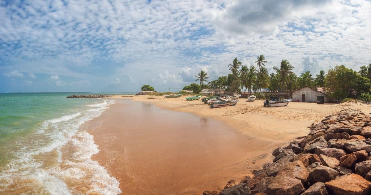 Kalpitiya beach with fishing boats, palm trees, and golden sand in Sri Lanka