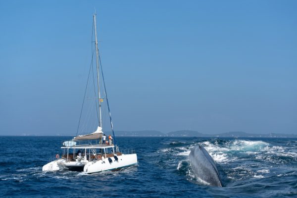 Sailing-Sri-lanka